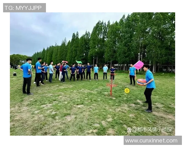 飞盘盛宴：深入武汉飞盘队的默契配合与战术解析